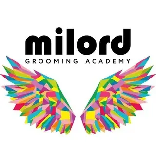 Академия груминга «Милорд» — Наука и образование Telegram