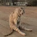 Веселуха — Для Взрослых Telegram