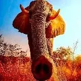 Бескрайняя Плоть — Для Взрослых Telegram