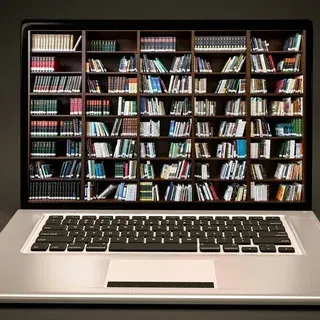 Лучшие курсы для программистов — Наука и образование Telegram