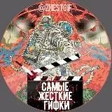 ЖЕСТЬ ГИФКИ — Réservé aux adultes Telegram