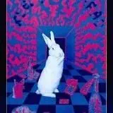 ЕND — Réservé aux adultes Telegram