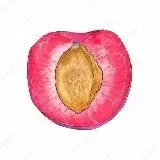 ЧЕРНОСЛИВ — Для Взрослых Telegram