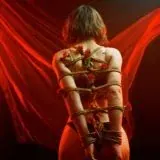 Azzky - shibari in Beograd — Réservé aux adultes Telegram