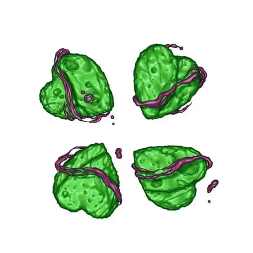 4ch — Развлечения и Юмор Telegram