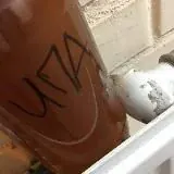 РУССКАЯ ИПА — Для Взрослых Telegram