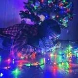 ~ГЕЙ ОБМЕН~ — Для Взрослых Telegram