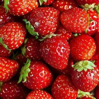 Школа малювання👍👍 — Наука и образование Telegram