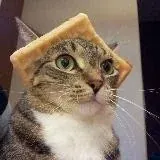 ✿⋆｡ sɪʟᴠᴇʀ & ʜᴏɴᴇʏ | ᴅʀᴀᴍɪᴏɴᴇ˚｡⋆ ✿ — Для Взрослых Telegram