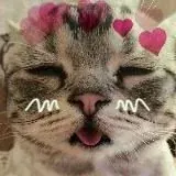 Экзотические колеса — Для Взрослых Telegram