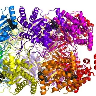 Кружки ФББ в 57ш 2022/23 — Ciencia y educación Telegram