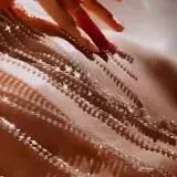 Записки Гейши — Réservé aux adultes Telegram