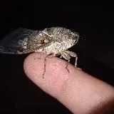 всякая кринжа и аутизм на каждый день — Для Взрослых Telegram