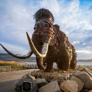 Еду в Магадан — Actualités et médias Telegram