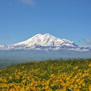 taulu_millet — Новости и СМИ Telegram