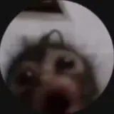 ван мор пёрл плис — Réservé aux adultes Telegram