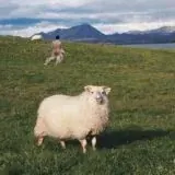 хикисники порні — Для Взрослых Telegram