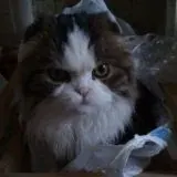 Хуеем. Заметки — Для Взрослых Telegram