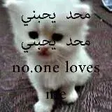 meow — Для Взрослых Telegram