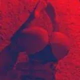 makeherhappy.ru — Для Взрослых Telegram