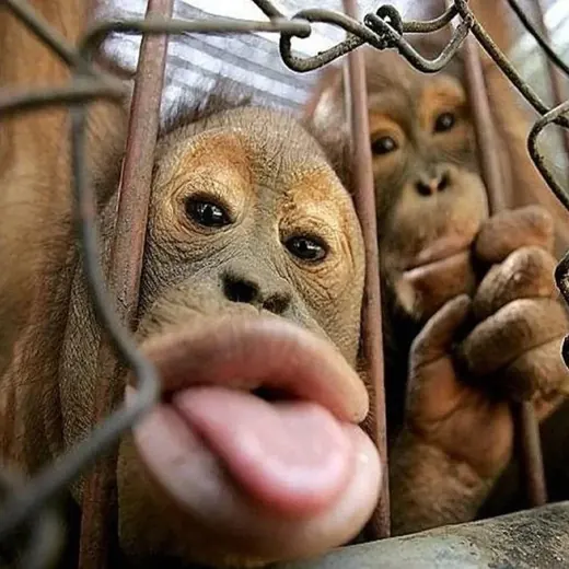 Безумные новости — Новости и СМИ Telegram