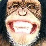 Schlach in Nacken — Для Взрослых Telegram