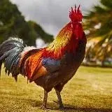 Одинокий пидр — Для Взрослых Telegram