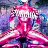 AW.ANIME / MiSide / zenless zone zero / genshin impact — Réservé aux adultes Telegram