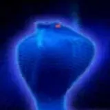 Оккультизм. ПЛР. Демонология. Клипот. Мудрость в безумии. Demonology. Qliphoth. Draconian Tradition — Для Взрослых Telegram