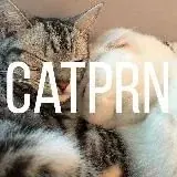 Порно с котами — Для Взрослых Telegram