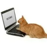 Зцн 18+ — Для Взрослых Telegram