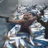 Humor_time_One — Для Взрослых Telegram