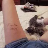 Femdom Alley — Для Взрослых Telegram