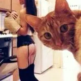 C h o p — Réservé aux adultes Telegram