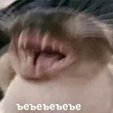 МемХрам — Для Взрослых Telegram