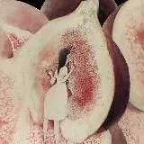 Влажные новости — Для Взрослых Telegram