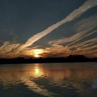 ⚡️ДТП и ЧП | Ленинградская область Он-Лайн | СПб  — Новости и СМИ Telegram