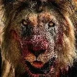 ANIMALS — Для Взрослых Telegram