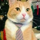 Без цензуры Yurificati0n — Для Взрослых Telegram