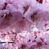 ЧЕРНЫЙ СПИСОК — Для Взрослых Telegram