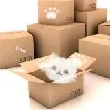 KiskiStore — Для Взрослых Telegram