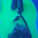 Эротический массаж для мужчин |Краснодар — Для Взрослых Telegram