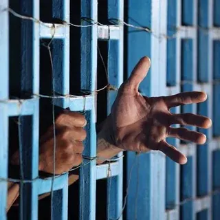 Зеленый Прокурор — Новости и СМИ Telegram