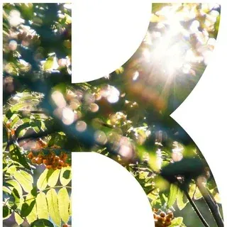 Культура Екатеринбурга — Новости и СМИ Telegram