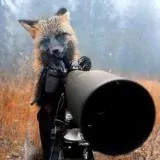 Летний Охотник — Réservé aux adultes Telegram