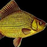 ZIP$kA_RyLiT — Для Взрослых Telegram