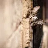 Закоулки Омска — Для Взрослых Telegram