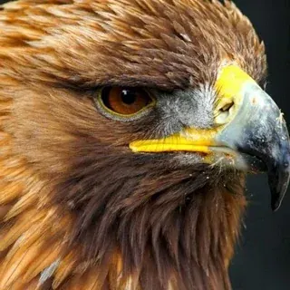 ДЗЕРЖИНСКИЙ — Новости и СМИ Telegram