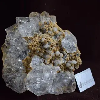 Dalpolimetall — Nachrichten und Medien Telegram