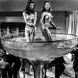 БарСук — Réservé aux adultes Telegram